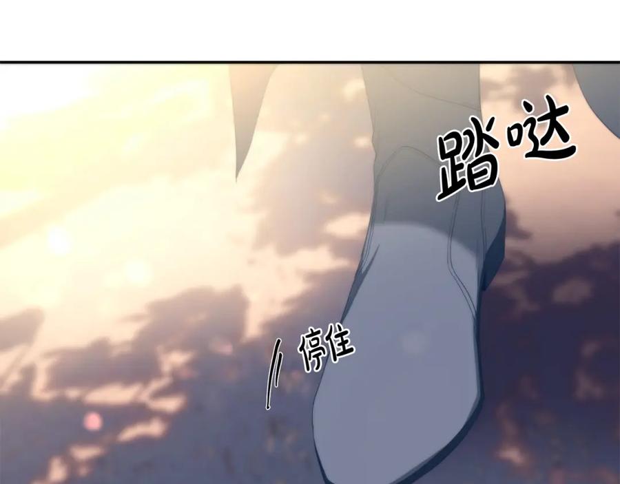 第230页