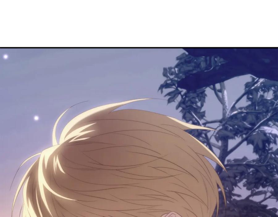 第242页