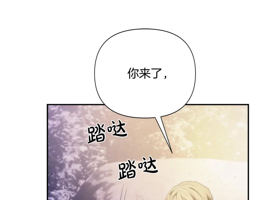 第246页