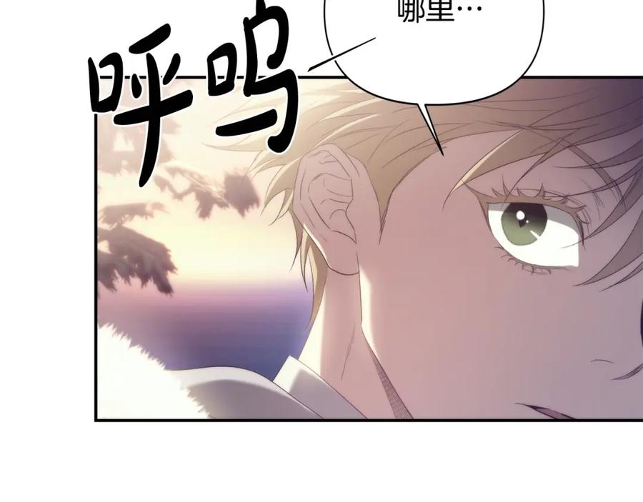 第260页