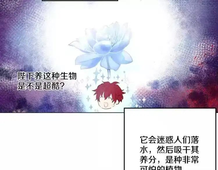 某天成为公主_h 第11话 要不要揍他一顿 第56页