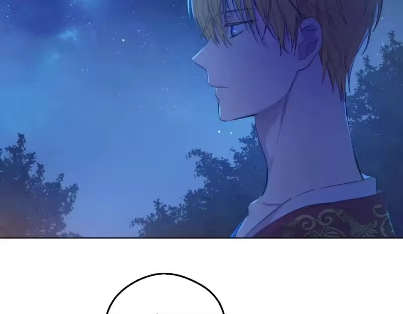 某天成为公主_h 第33话 同为父亲 第48页