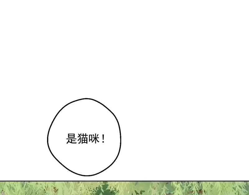 某天成为公主_h 外传第8话 猫咪博士 第12页