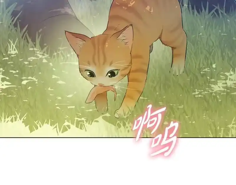 某天成为公主_h 外传第8话 猫咪博士 第31页