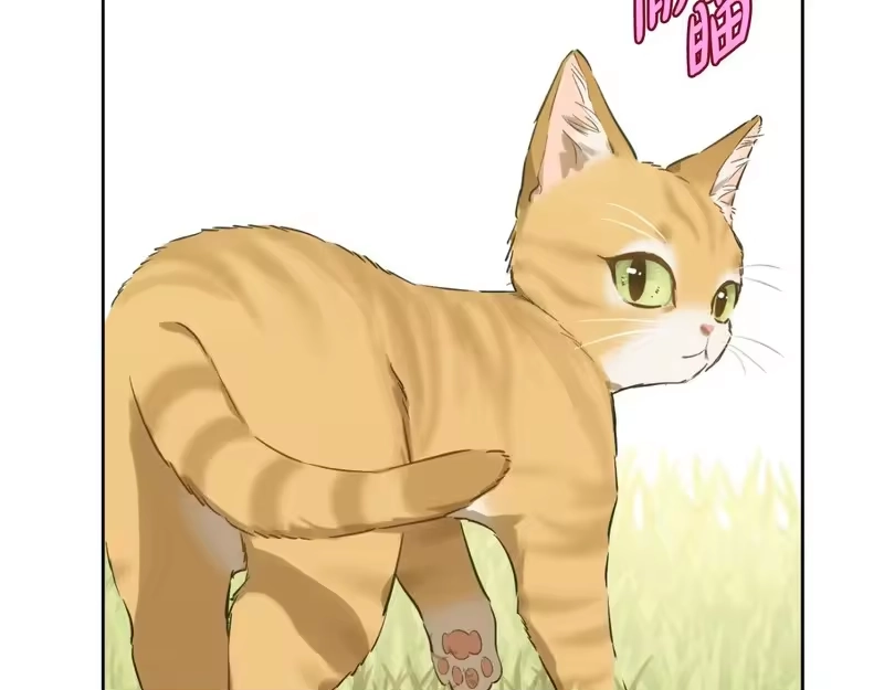 某天成为公主_h 外传第8话 猫咪博士 第56页