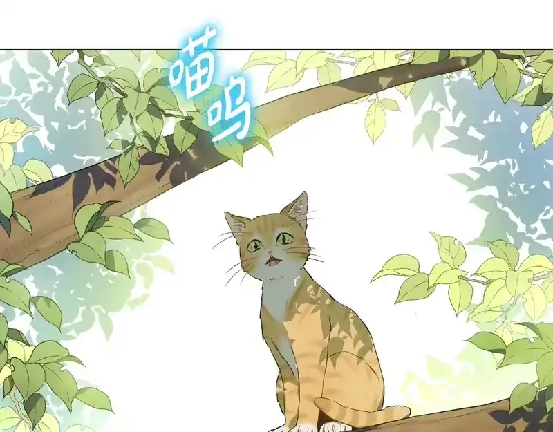 某天成为公主_h 外传第8话 猫咪博士 第6页