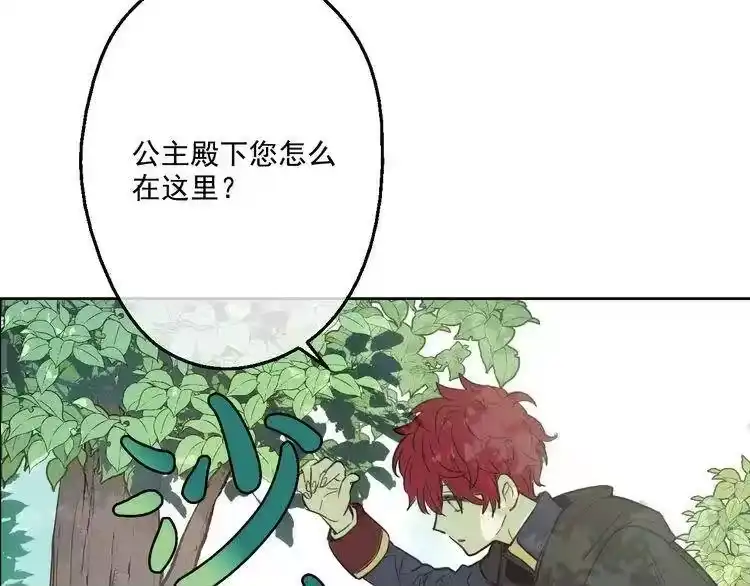 某天成为公主_h 第17话 魔法师少年 第39页