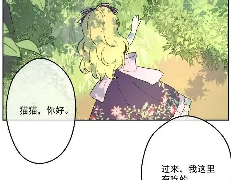 某天成为公主_h 第17话 魔法师少年 第7页