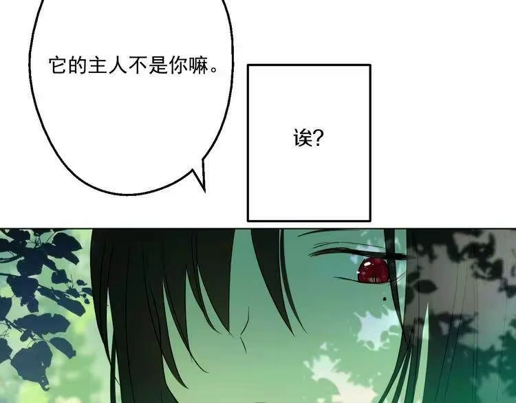 某天成为公主_h 第17话 魔法师少年 第81页
