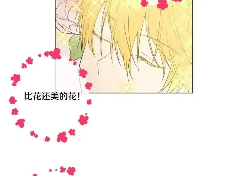某天成为公主_h 第37话 克劳德的美~ 第29页