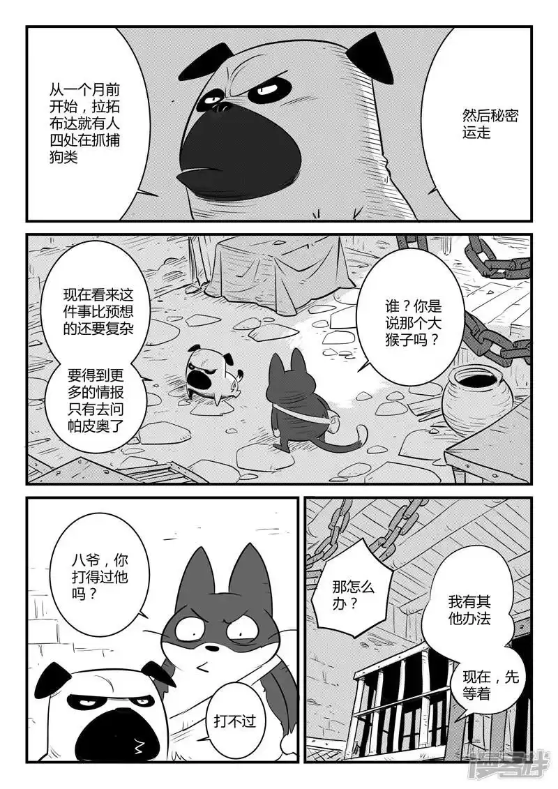 影子猫_h 第130话 影魔岛 第6页