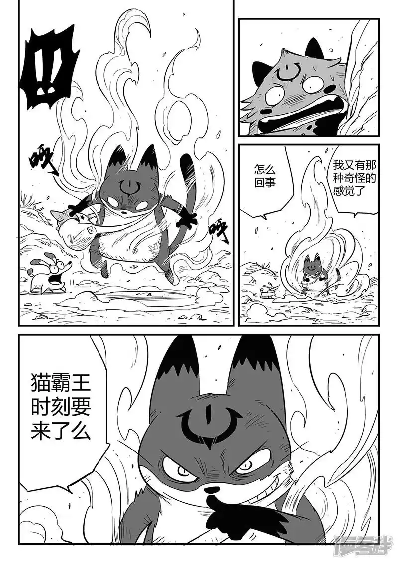 影子猫_h 第224话 猫霸王时刻 第4页