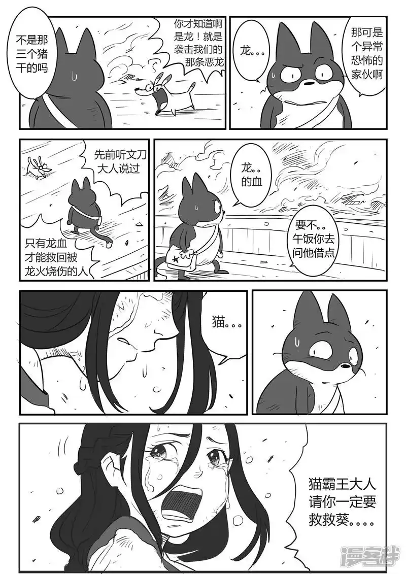影子猫_h 第26话 愤怒的二毛 第5页