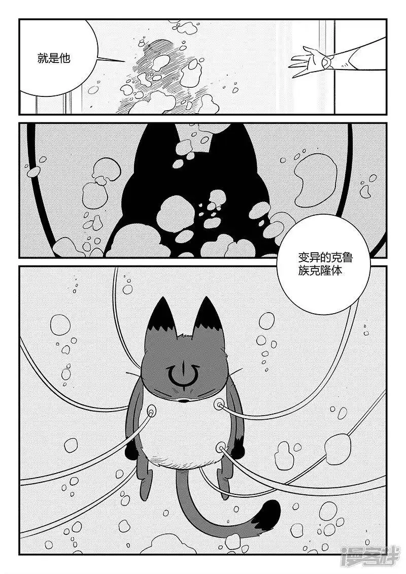 影子猫_h 第290话 亦真又似幻 第5页
