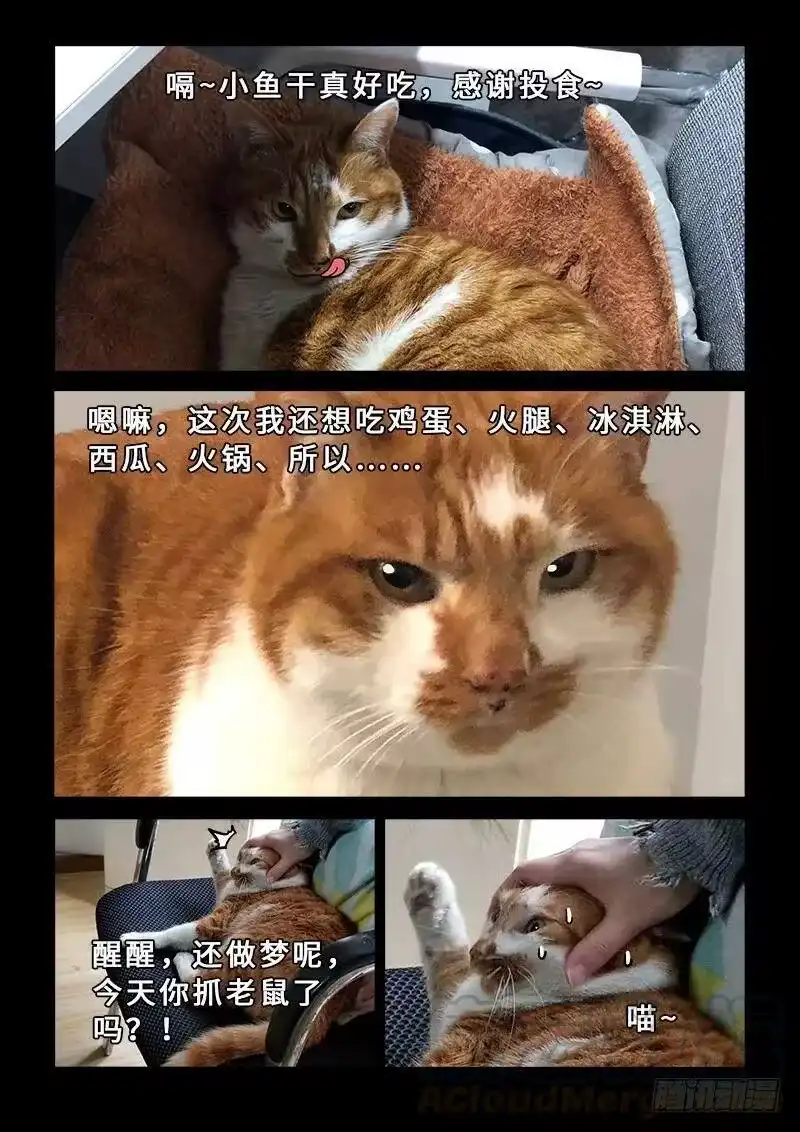我是大神仙_h 第一九五话·多管闲事 第16页