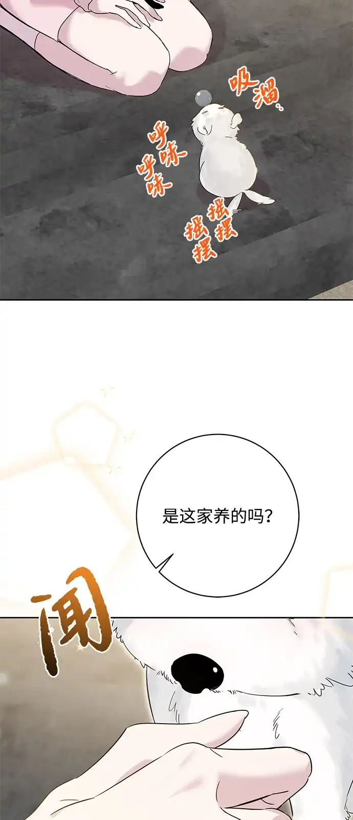 恋爱从带娃开始 第16话 第5页