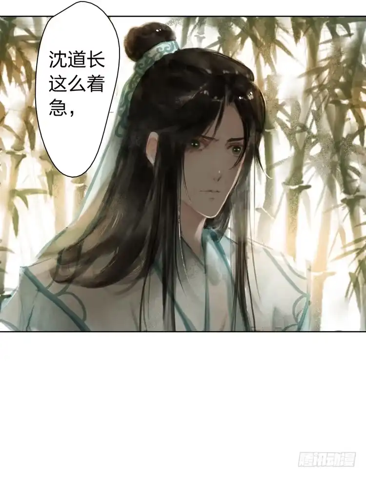 孤鸿 请愿入世历练 第15页