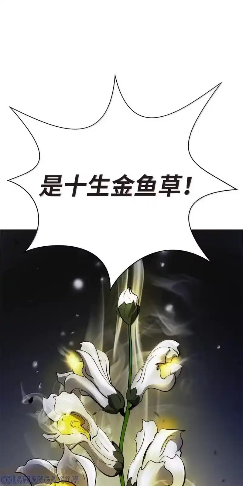 浪仙奇幻谈_h 194 破解之法 第125页