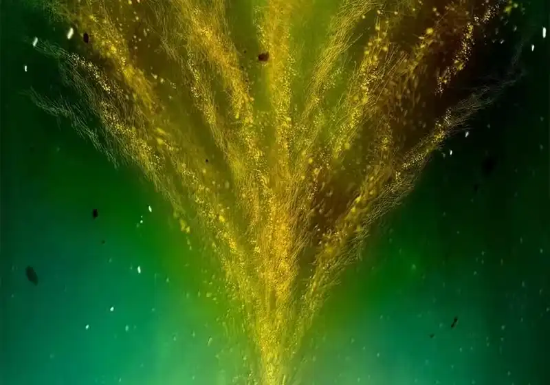 浪仙奇幻谈_h 199 最后一剑 第168页