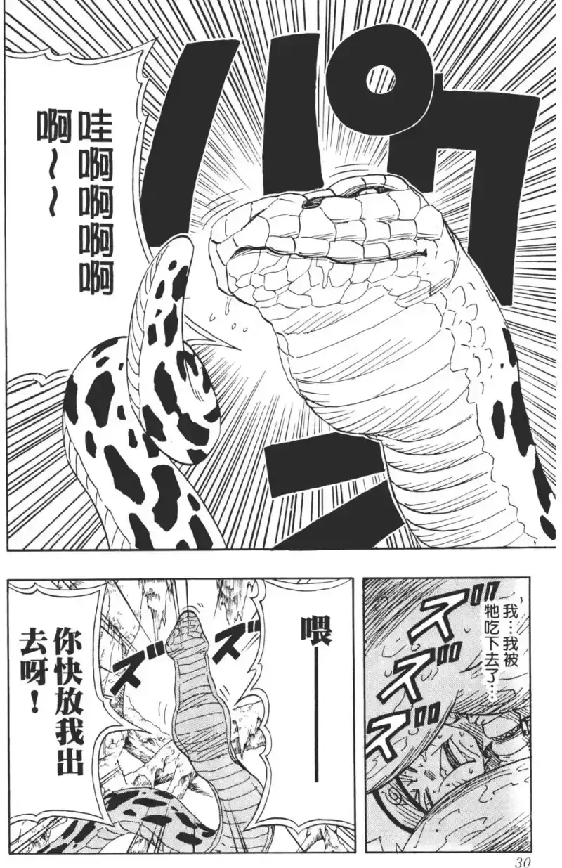火影忍者_h 第06卷 第29页