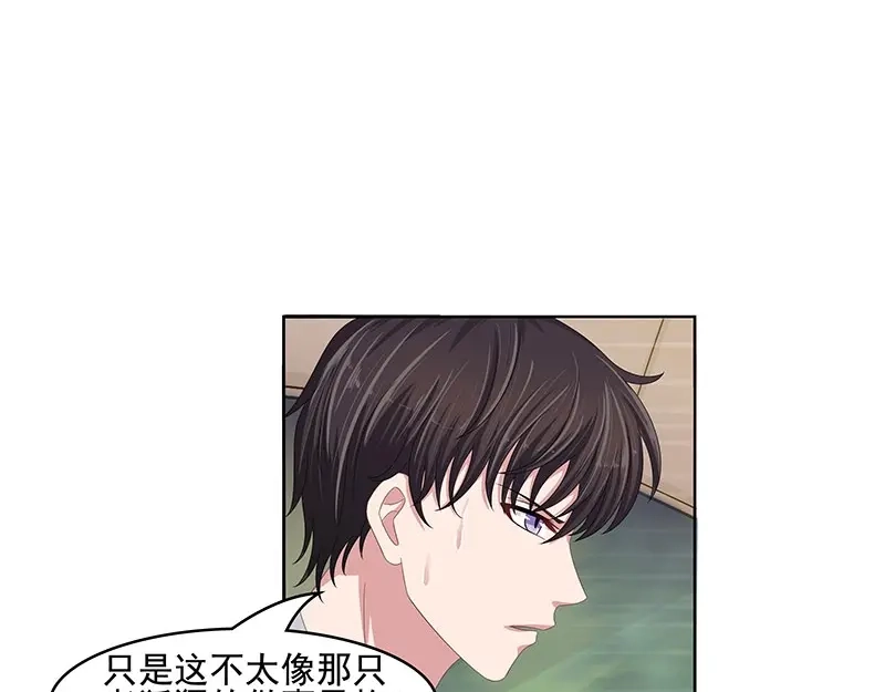 娇妻出厂不合格 第51话 第11页