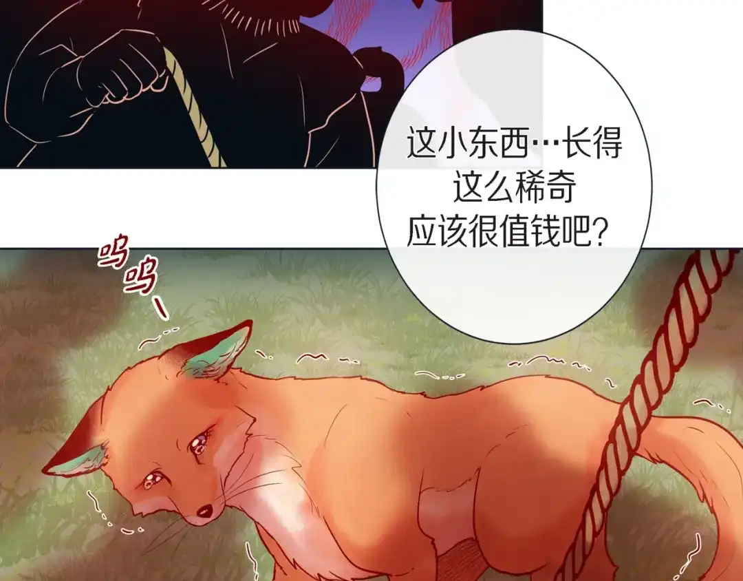 蝴蝶俘获老虎 第14话 狐缘 第20页