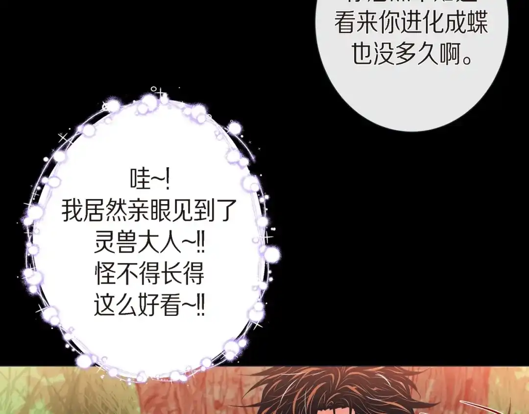 蝴蝶俘获老虎 第25话 粘人的小蝴蝶 第15页