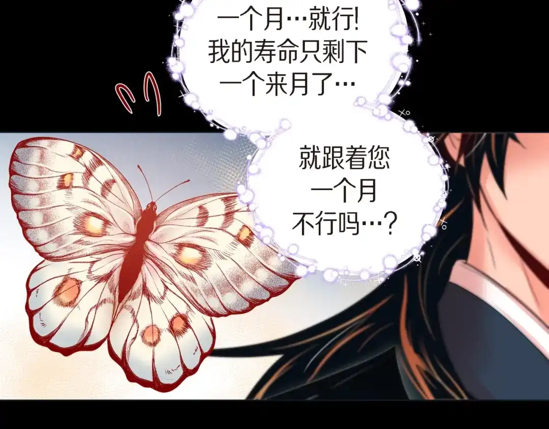 蝴蝶俘获老虎 第25话 粘人的小蝴蝶 第21页