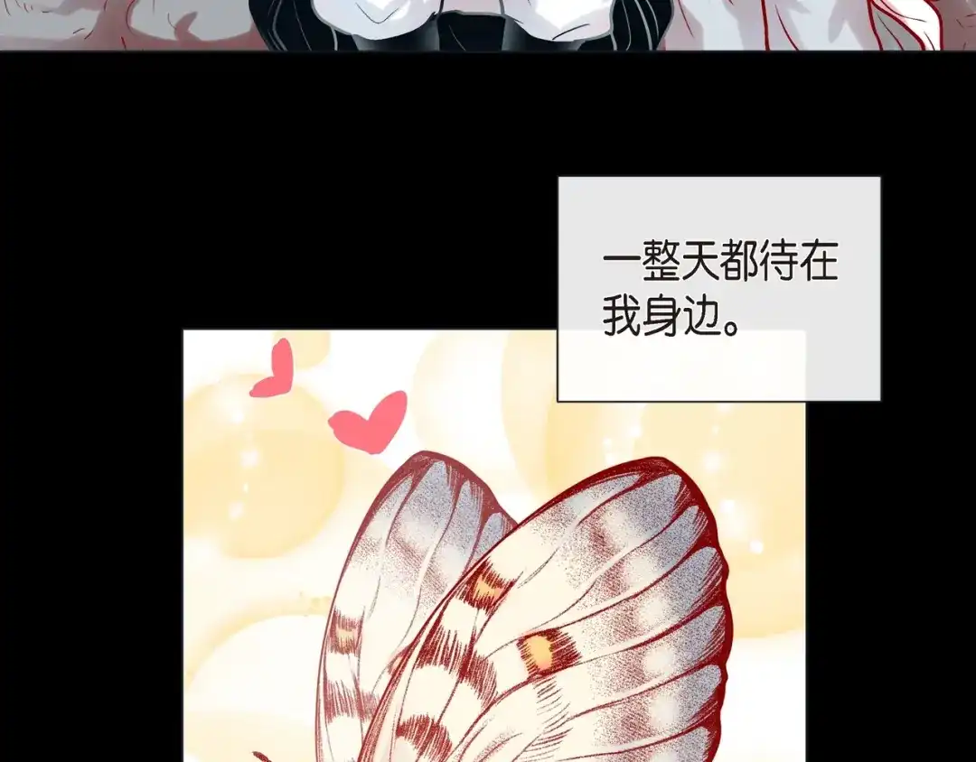 蝴蝶俘获老虎 第25话 粘人的小蝴蝶 第26页
