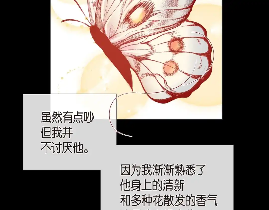 蝴蝶俘获老虎 第25话 粘人的小蝴蝶 第27页