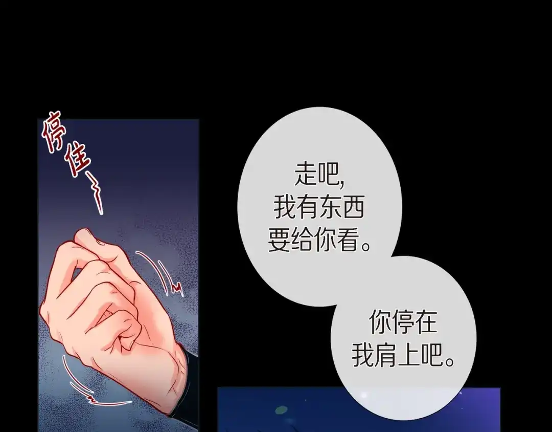 蝴蝶俘获老虎 第25话 粘人的小蝴蝶 第60页