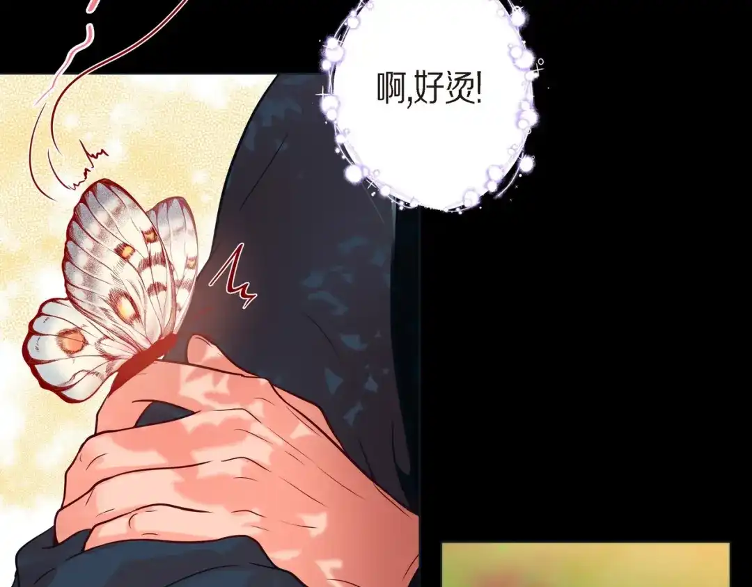 蝴蝶俘获老虎 第25话 粘人的小蝴蝶 第8页