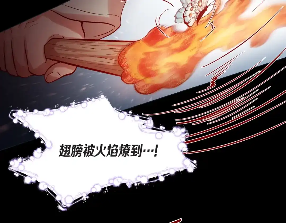 蝴蝶俘获老虎 第26话 韩律的落泪 第25页
