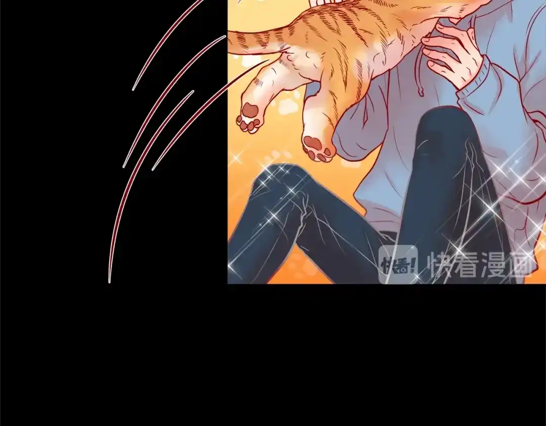 蝴蝶俘获老虎 第29话 卖萌可耻但有用 第23页
