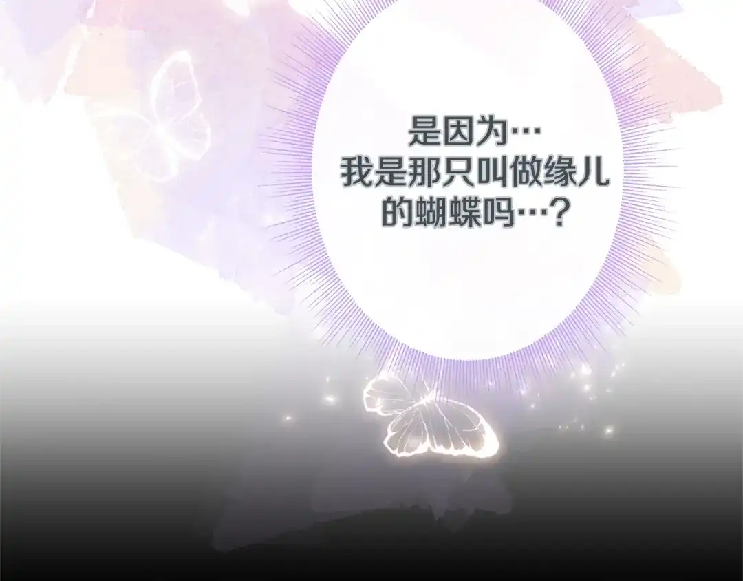 蝴蝶俘获老虎 第33话 你是木头吗？ 第53页