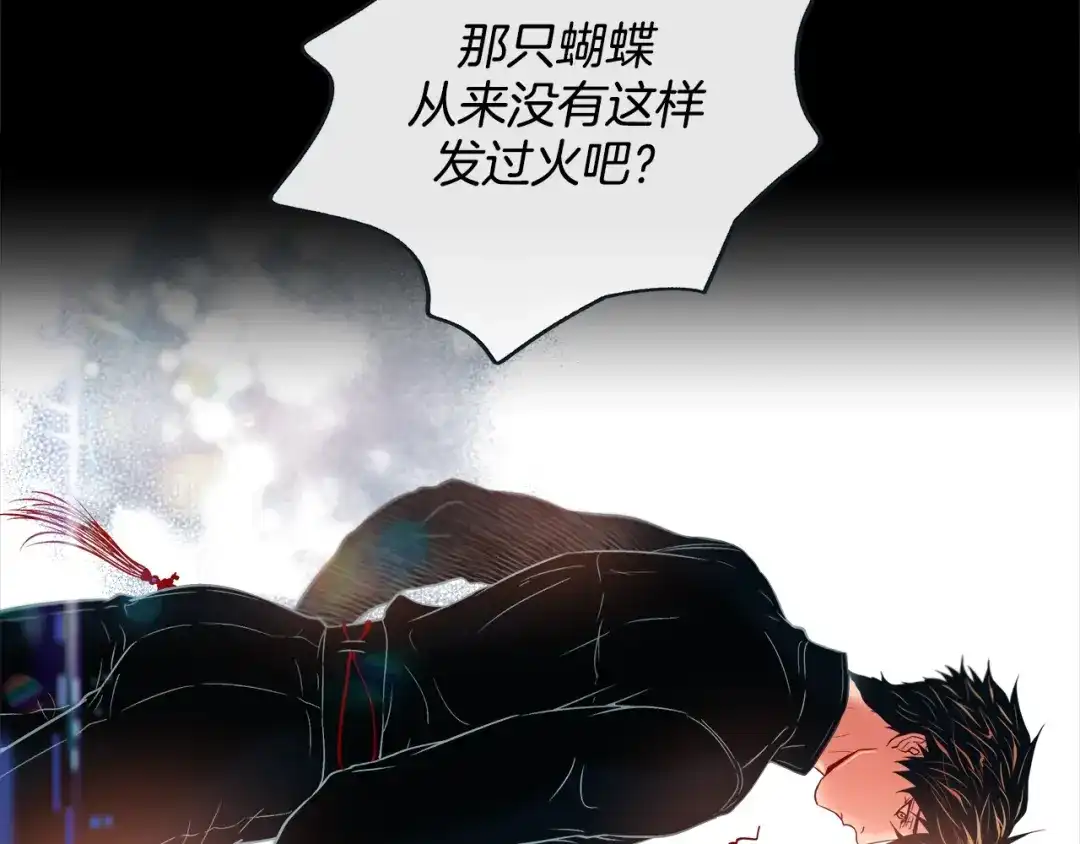 蝴蝶俘获老虎 第33话 你是木头吗？ 第81页