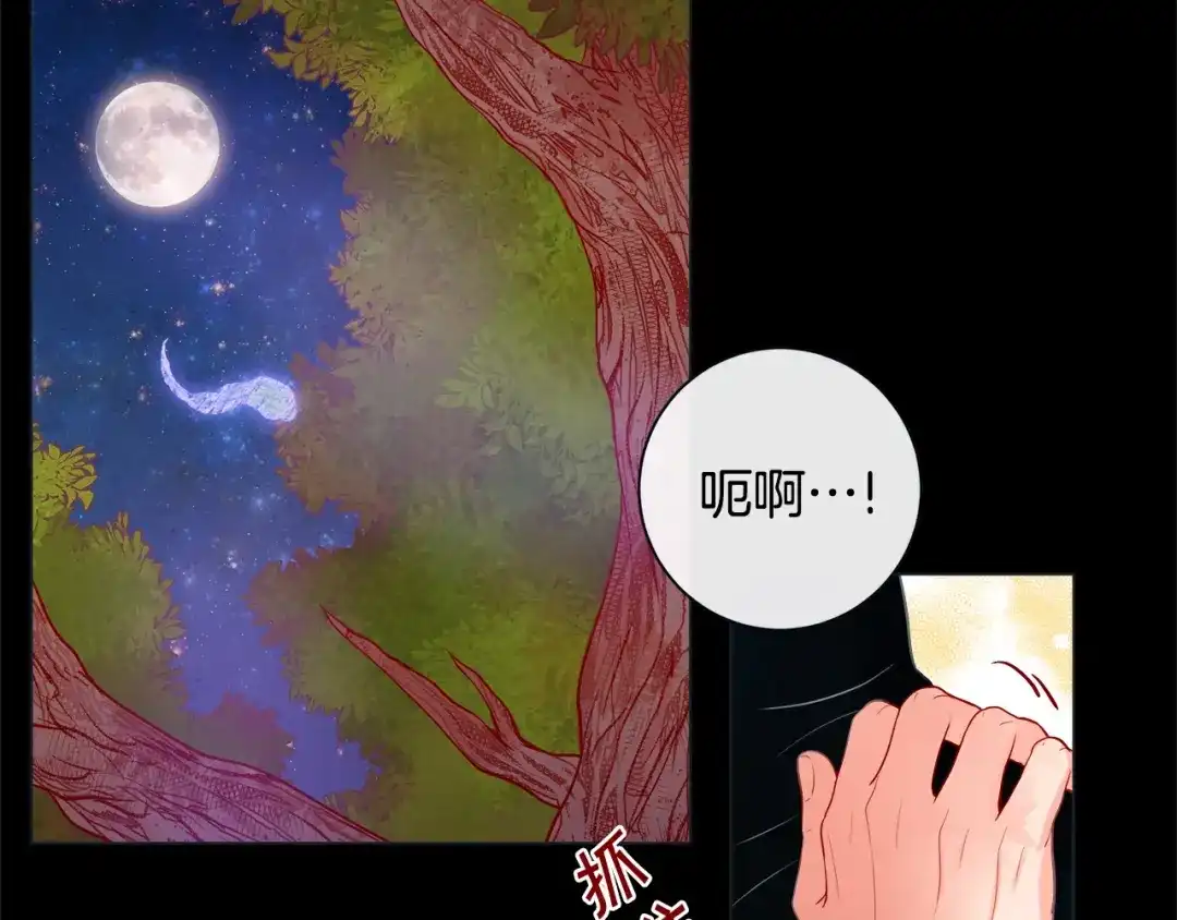 蝴蝶俘获老虎 第35话 双向占有欲 第27页