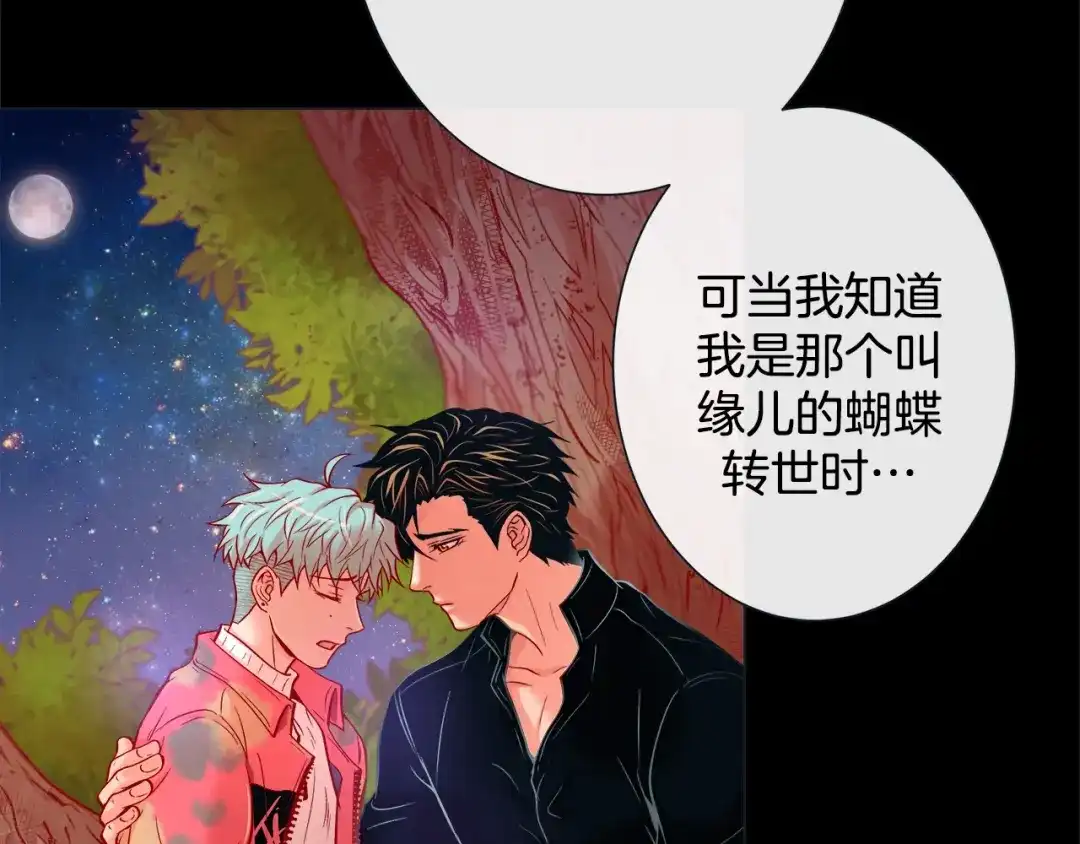 蝴蝶俘获老虎 第36话 你是我的人 第12页