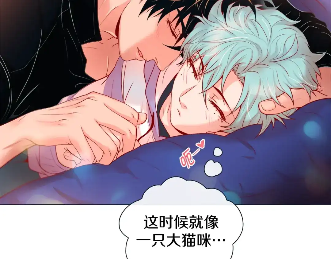 蝴蝶俘获老虎 第39话 我有特殊抢人技巧 第100页