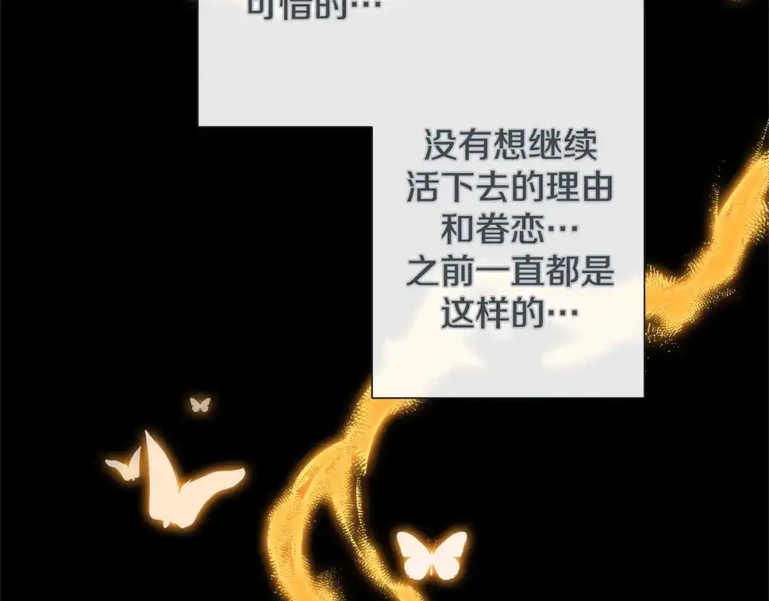蝴蝶俘获老虎 第41话 小主唱绝美Wink 第13页