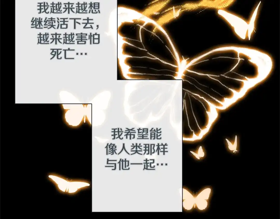 蝴蝶俘获老虎 第41话 小主唱绝美Wink 第15页