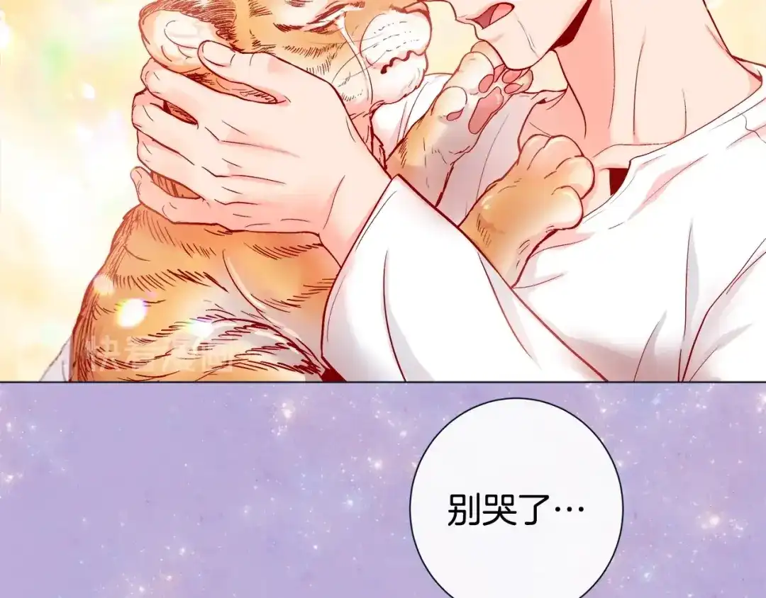 蝴蝶俘获老虎 第45话 我想你了 第80页