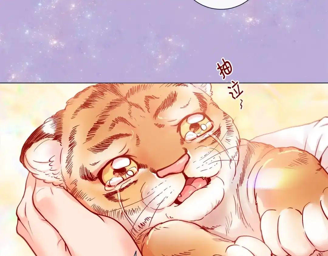 蝴蝶俘获老虎 第45话 我想你了 第81页