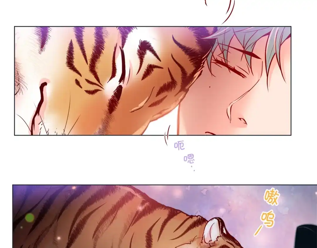 蝴蝶俘获老虎 第50话 舔虎的一生 第19页
