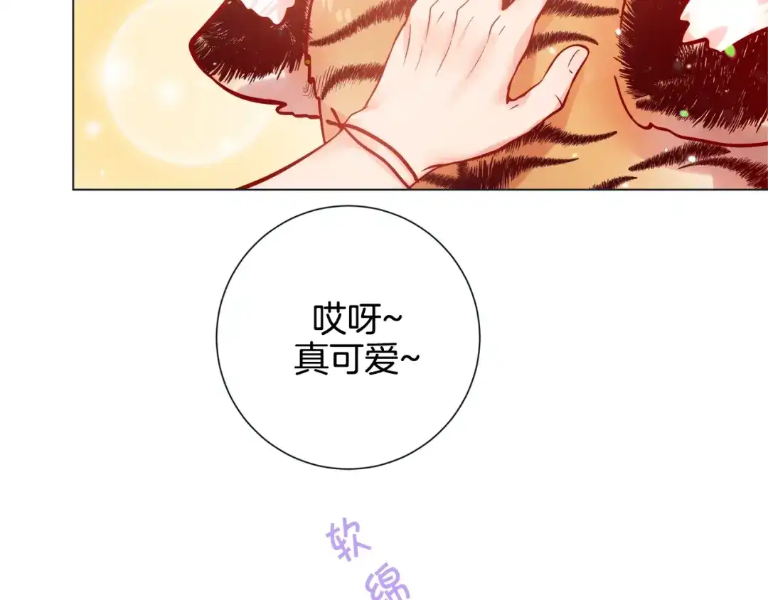 蝴蝶俘获老虎 第50话 舔虎的一生 第40页