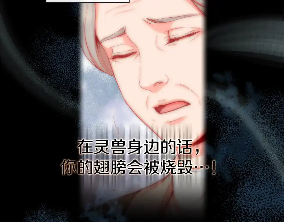 蝴蝶俘获老虎 第51话 我会做饭给你吃 第117页