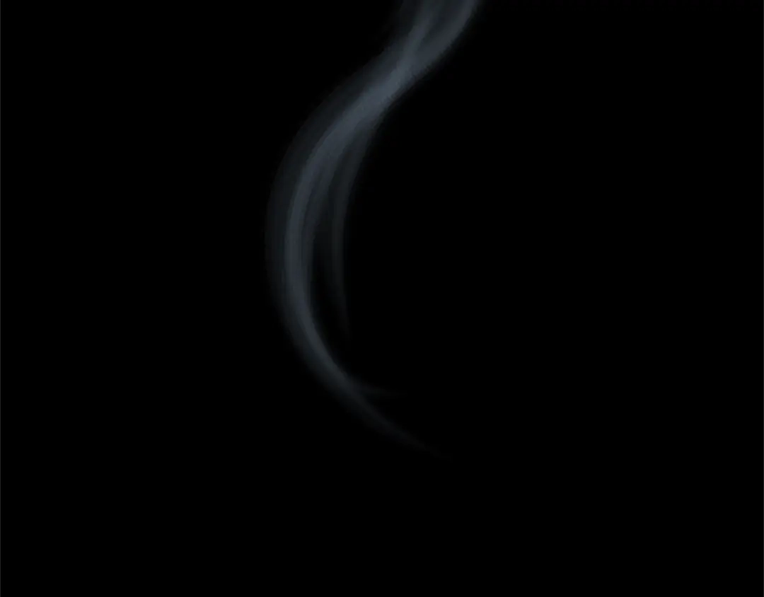 蝴蝶俘获老虎 第58话 你快点回来 第54页