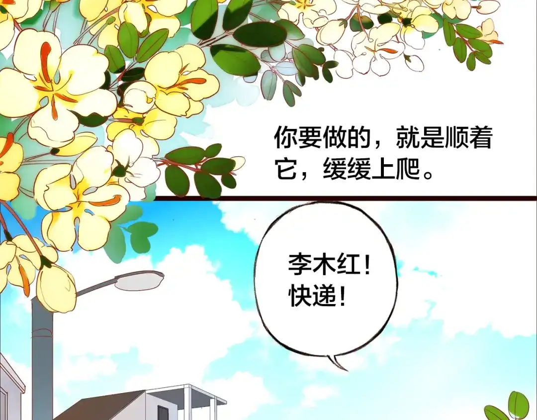 盛开于荆棘之上 第4话 伤痕残留 第8页