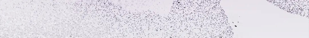 勇敢小狗来拯救恶女姐姐啦！ 第7话 找到了 第31页