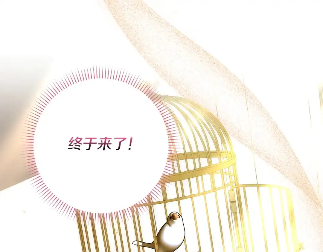 勇敢小狗来拯救恶女姐姐啦！ 第18话 鸟儿情报商 第177页
